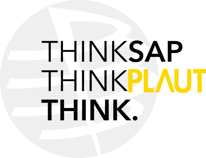 Plaut IT (Purchased by EY)